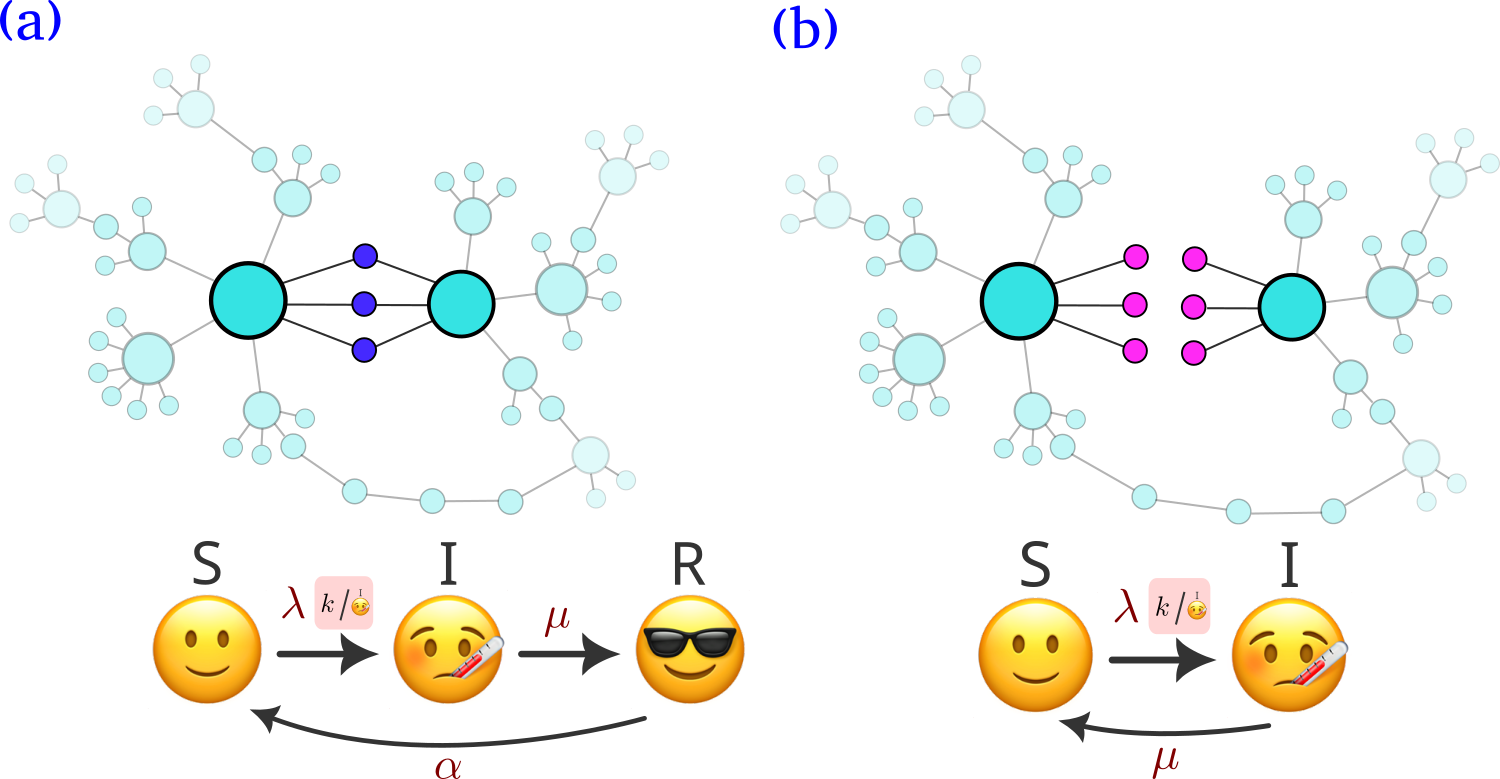 Publication highlight